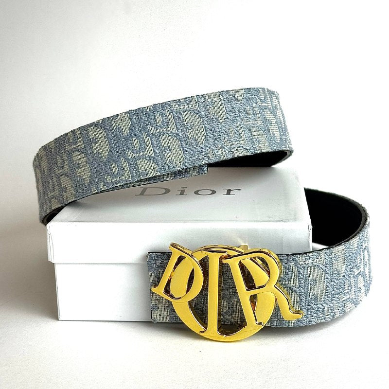Dior CD Buckle Oblique Belt – Grey Gold Lebanon - ChronoVault