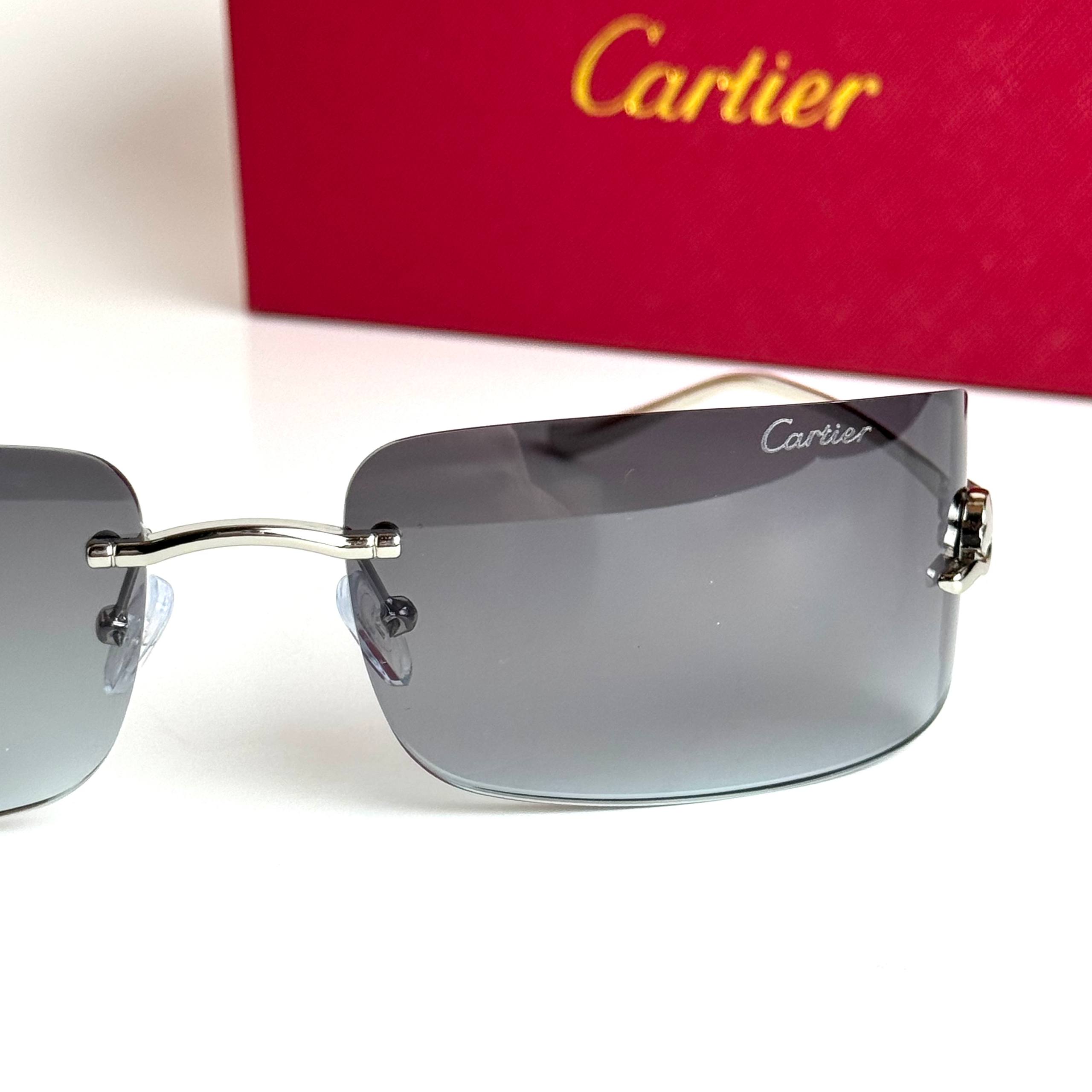 Cartier CT0487S Silver Grey Sunglasses Lifestyle Lebanon - ChronoVault