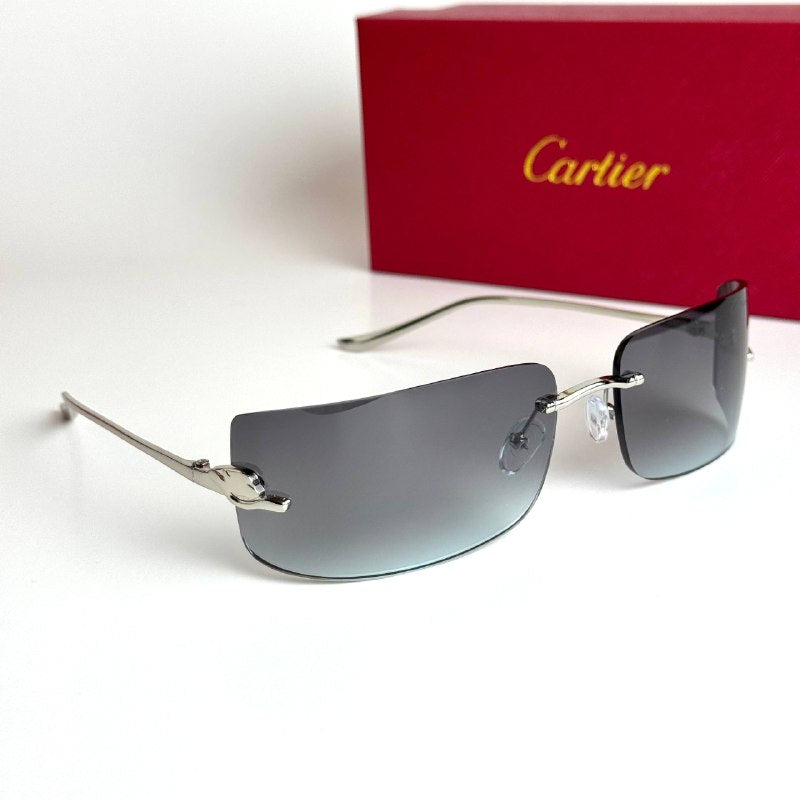 Cartier CT0487S Silver Grey Sunglasses Lebanon - ChronoVault - view 5