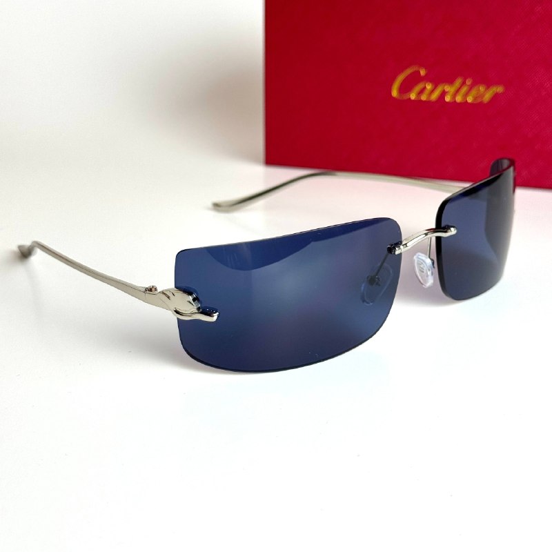 Cartier Mask CT0398S-002 Silver Blue Sunglasses Lebanon - ChronoVault - view 5