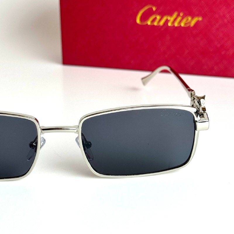 Cartier Rectangular CT4386 Silver Black Sunglasses Lebanon - ChronoVault - view 4