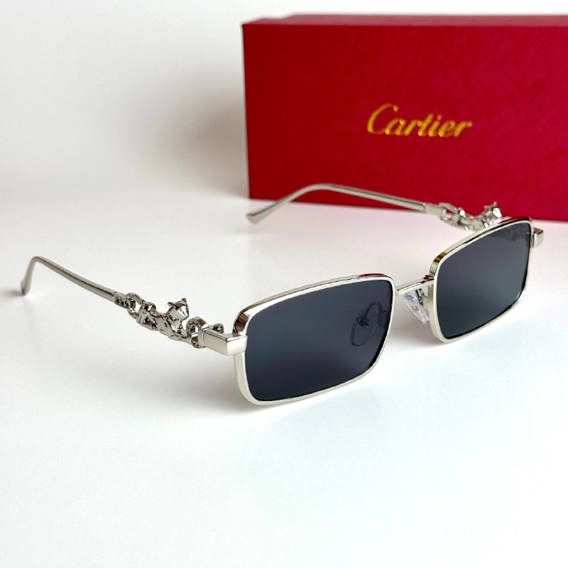Cartier Rectangular CT4386 Silver Black Sunglasses Lebanon - ChronoVault - view 5