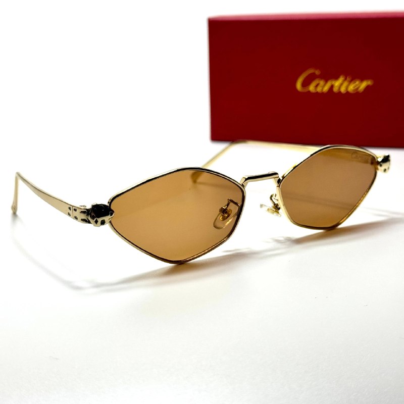 Cartier Panthère Geometric CT0432S Gold Brown unisex sunglasses Lebanon - ChronoVault - view 5