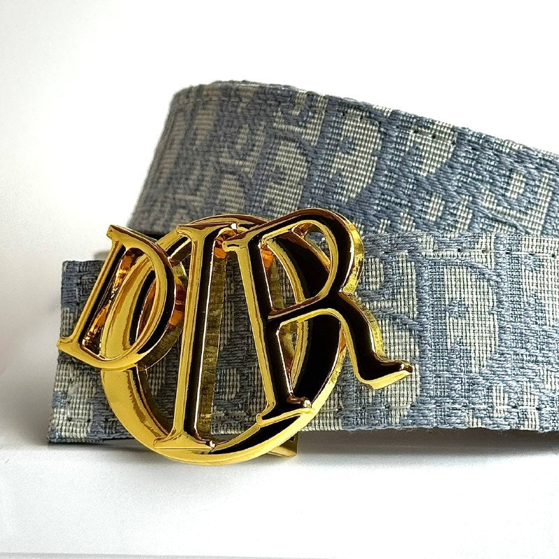 Dior CD Buckle Oblique Belt – Grey Gold Lebanon - ChronoVault