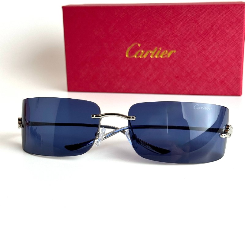 Cartier Mask CT0398S-002 Silver Blue Sunglasses Side View Lebanon - ChronoVault