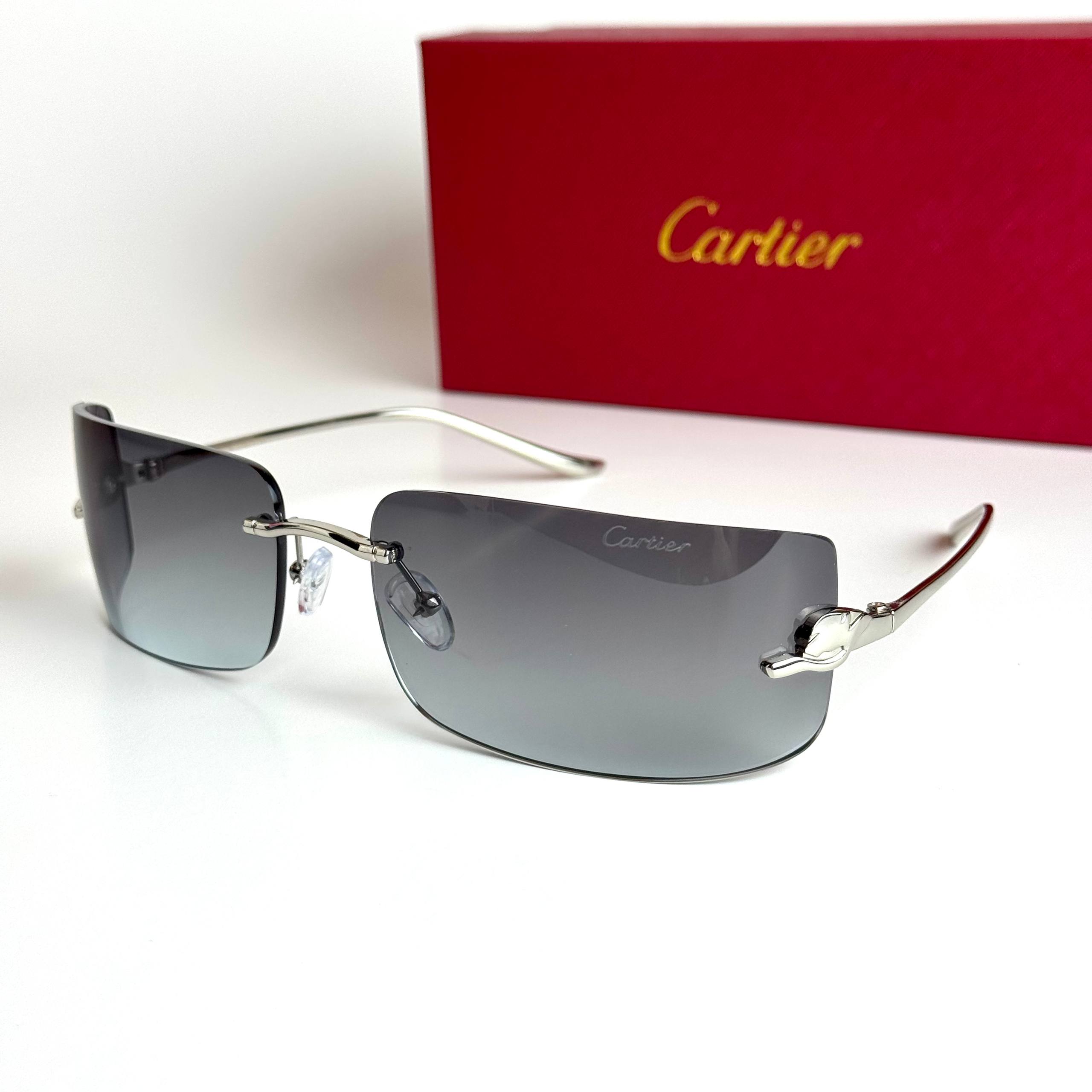 Cartier CT0487S Silver Grey Sunglasses Lebanon - ChronoVault