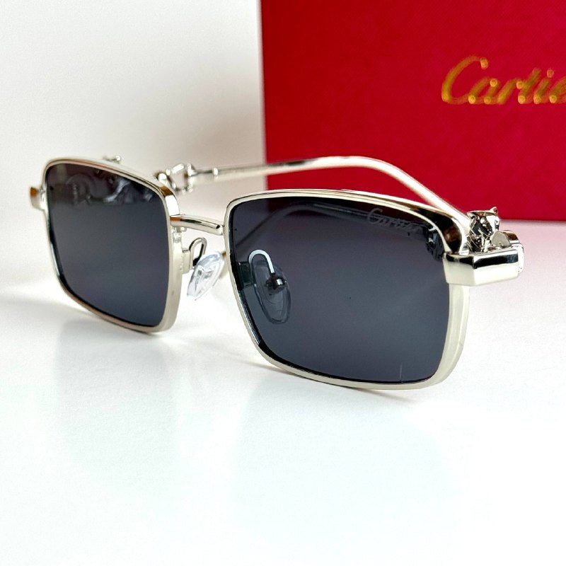 Cartier Rectangular CT4386 Silver Black Sunglasses Lifestyle Lebanon - ChronoVault