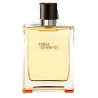 Hermes Terre d'Hermes Eau de Toilette 100ML Lebanon – ChronoVault