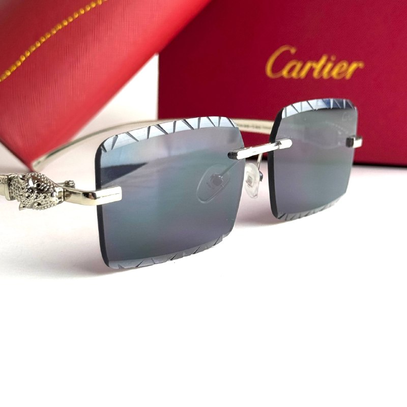 Cartier CT0425S Silver Black Sunglasses Front View Lebanon - ChronoVault - view 3