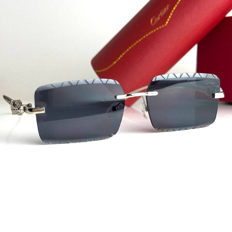 Cartier CT0425S Silver Black Sunglasses Front View Lebanon - ChronoVault - view 4