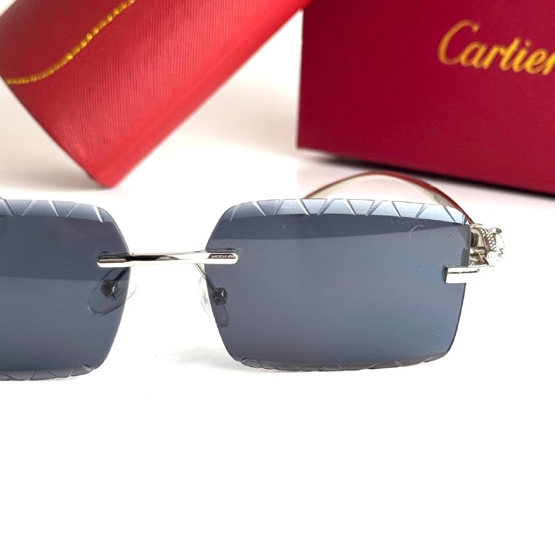 Cartier CT0425S Silver Black Sunglasses Front View Lebanon - ChronoVault - view 5